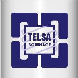 Logo TELSA Validé